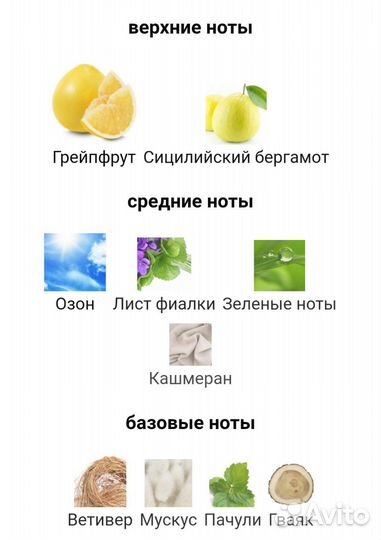 Dolce and Gabbana Light Blue Italian Love 50ml