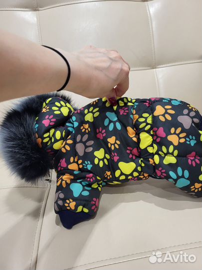 Зимний комбинезон для мини йорка