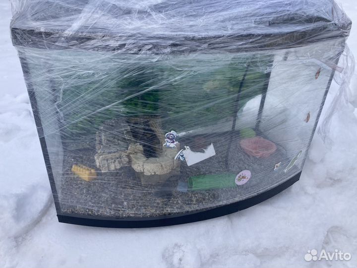 Аквариум террариум