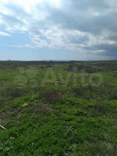 Участок 8 сот. (СНТ, ДНП)