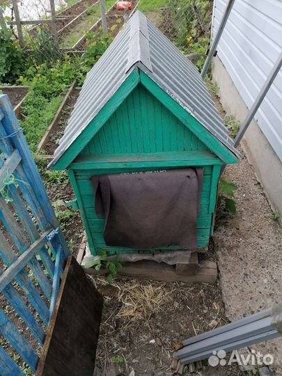 Будка конура