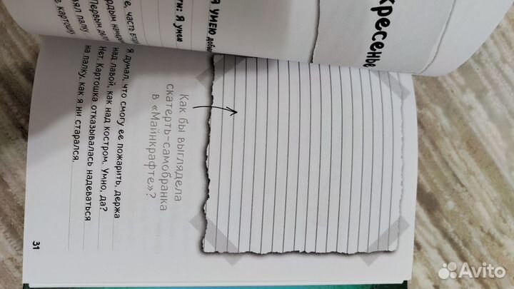 Книга Дневник Стива в Майнкрафт