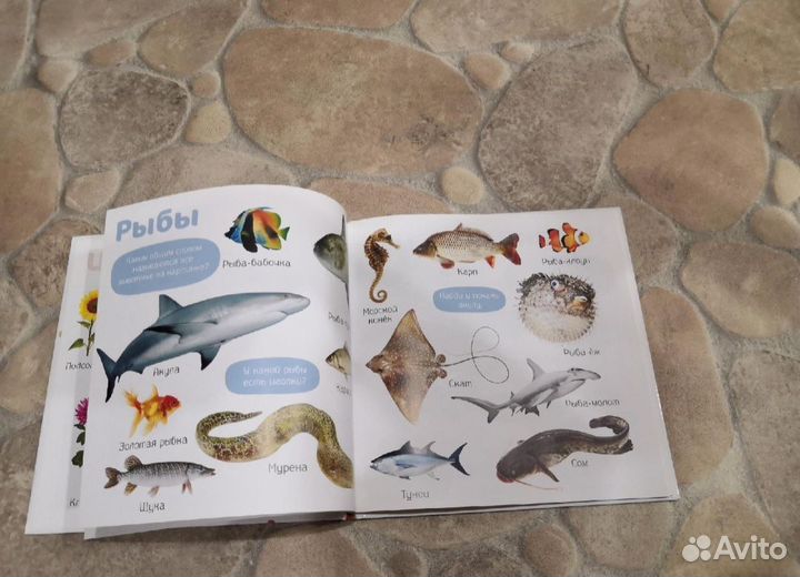 Детская книга clever фотокнига изучаем мир учебник