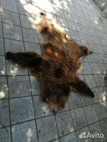 Шкура медведя имитация