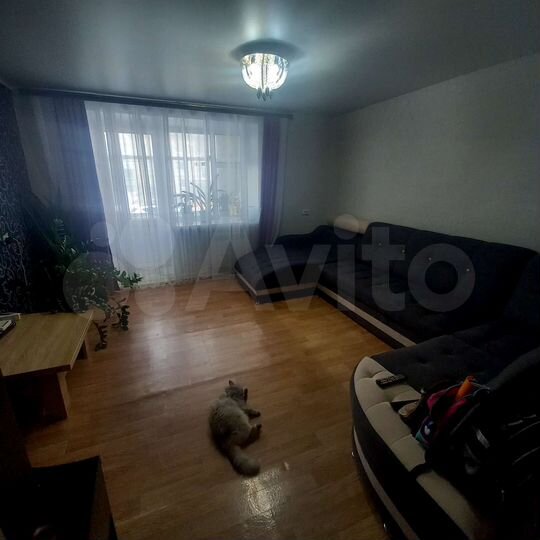 2-к. квартира, 48 м², 1/2 эт.