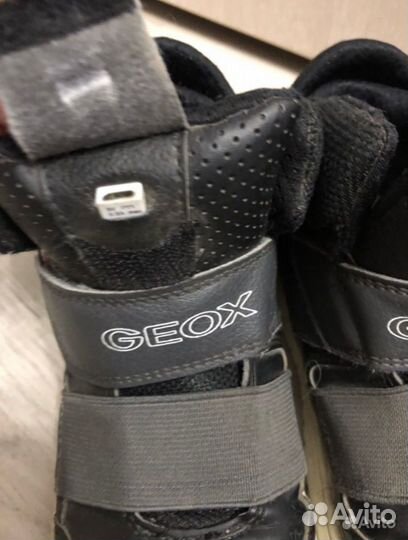 Кеды Geox 35 б/у