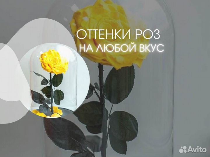 Вечная роза в колбе