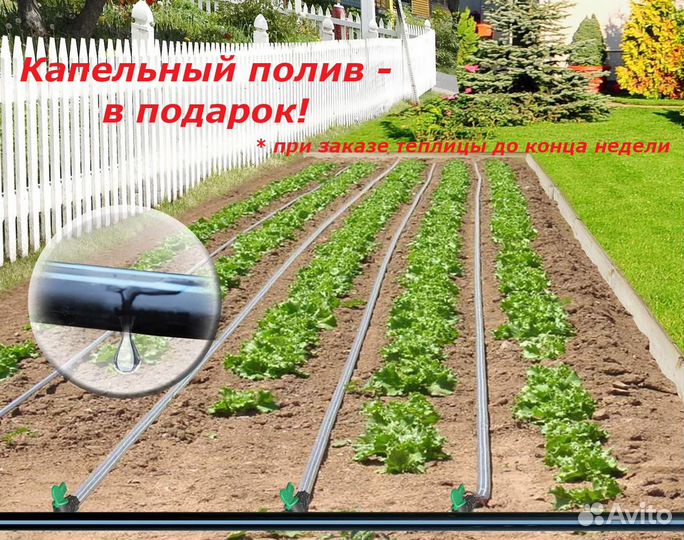 Теплица 6 метров каркасная