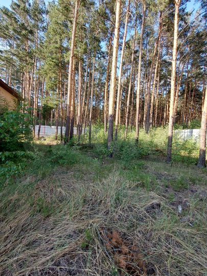 Дом 280 м² на участке 16 сот.