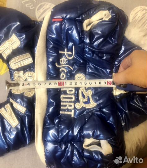 Комбинезон для маленькой собаки зима теплый синий