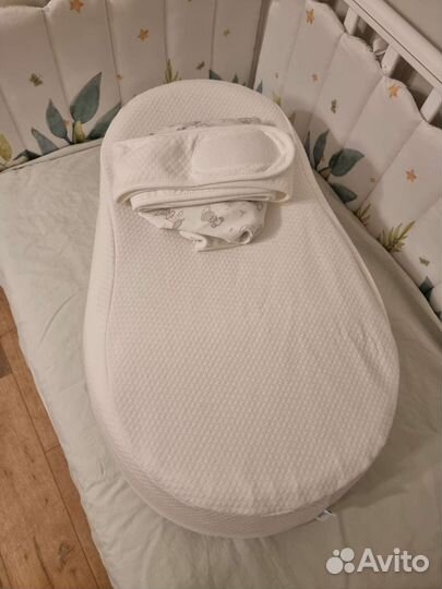 Кокон зевушка