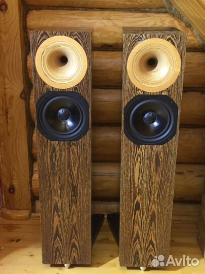 Рупорная акустика Odeon