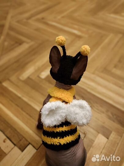 Одежда для сфинкса/ одежда для котов