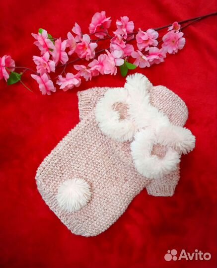 Одежда для собак