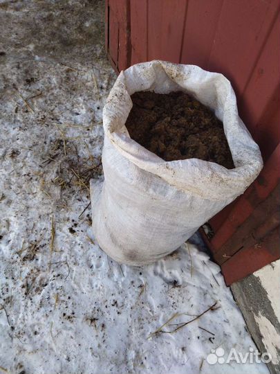 Конскии навоз