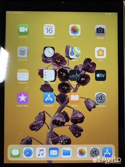 iPad mini 2