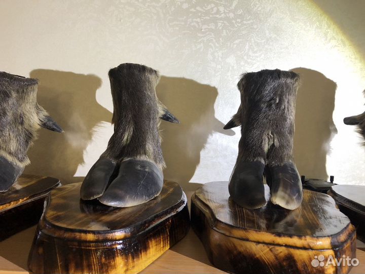 Сивенир Копыта Лося