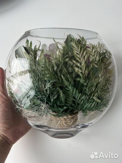 Флорариум цветы стабилизированные подарок