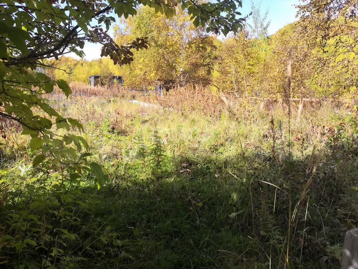 Участок 6,5 сот. (СНТ, ДНП)