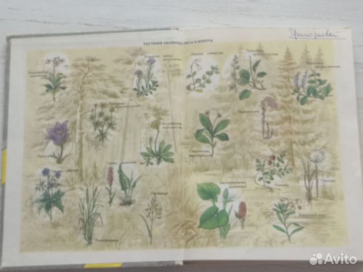 Учебник Биология 6-7 класс