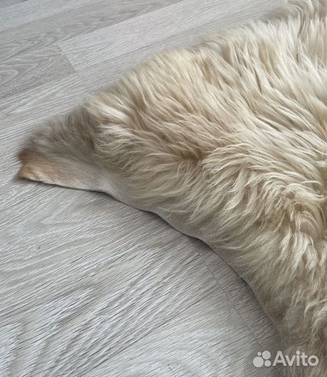 Шкура овечья шкурка