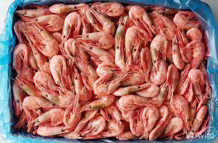 Свежие и вкусные креветки, лангустины в розницу