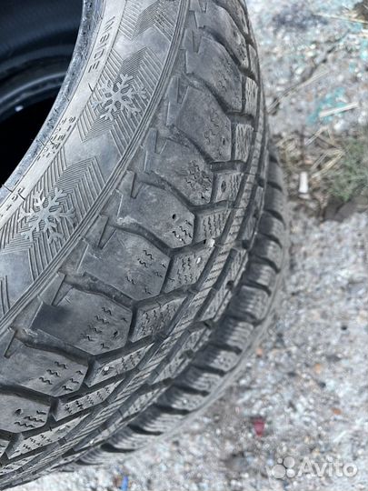 Cordiant Polar 2 205/55 R16