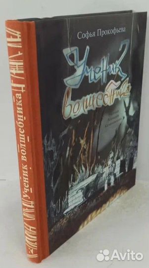 Прокофьева Софья. Ученик волшебника