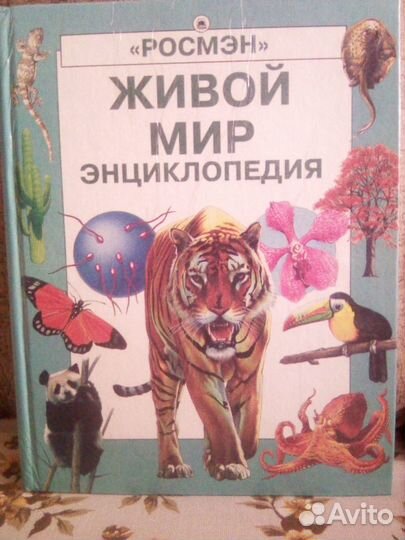 Данкевич Большая книга поделок.Энциклопедии разные