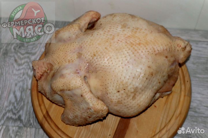 Мясо курицы