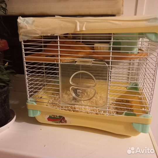 Мышь японская бамбуковая