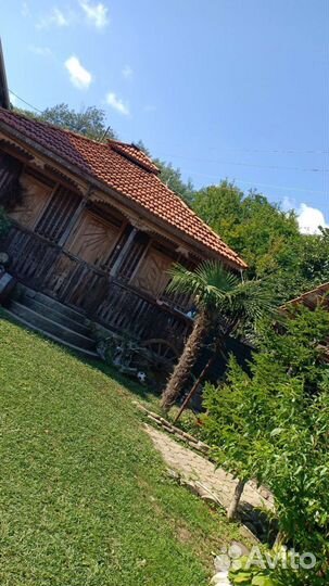 Отдых у моря в Абхазии