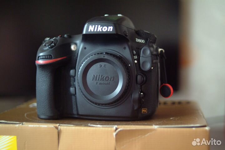Nikon D800 body