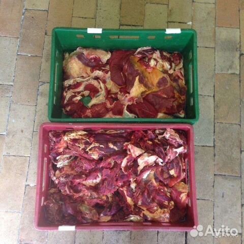 свинина на кости (туши,полутуши,отруб,разруб) охл. свежее мясо свинина. прилавок мясного магазина. мясной прилавок. темные образования в мясе.