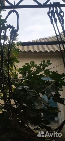 Паук, строп, строп тросовый