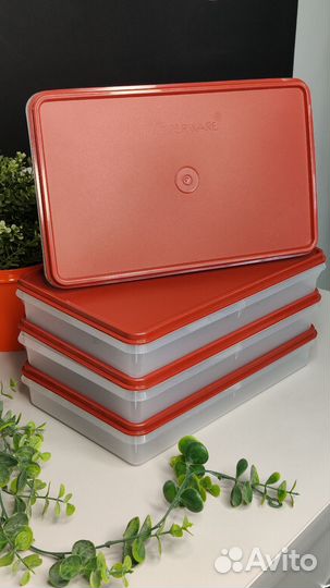 Набор для холодильника Tupperware