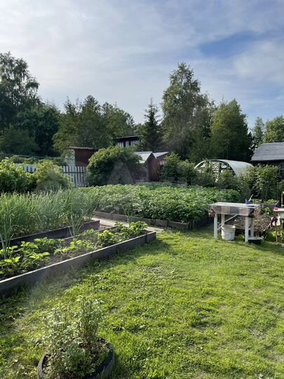 Дача 35 м² на участке 5 сот.