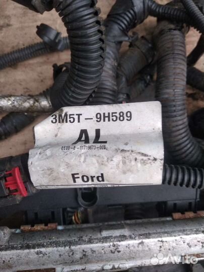 Коса проводки Ford Fokus2 1.6 бензин 04-11