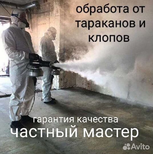 Травить тараканов,уничтожение клопов