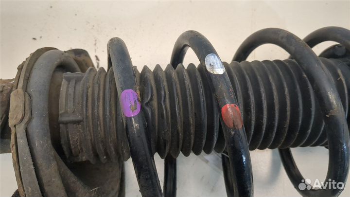 Амортизатор подвески Ford C-Max 2010, 2013