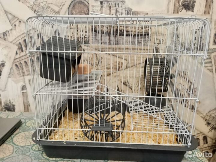Клетка для грызунов