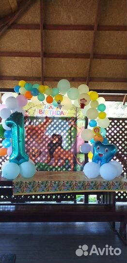 Фотозона Карол Лев