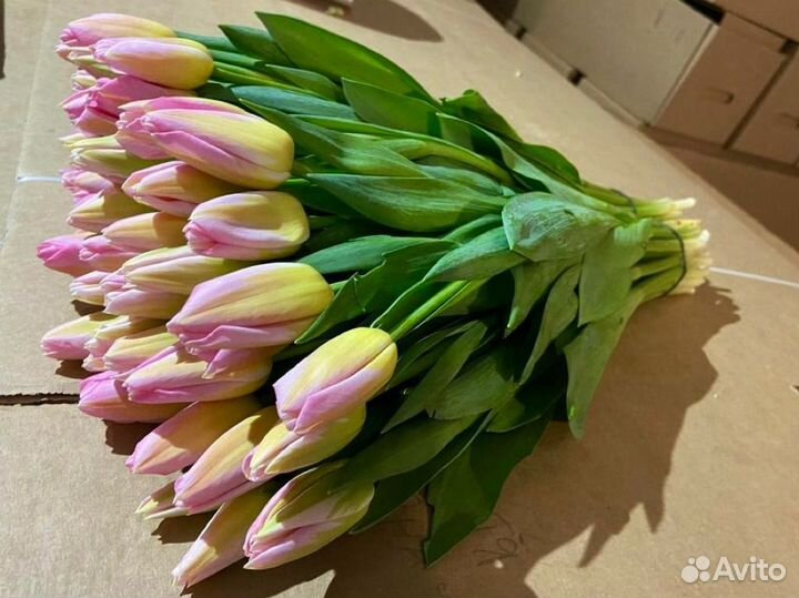 Букет тюльпанов с доставкой на 8 марта