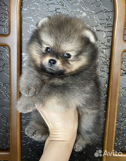 Золотые лепесточки