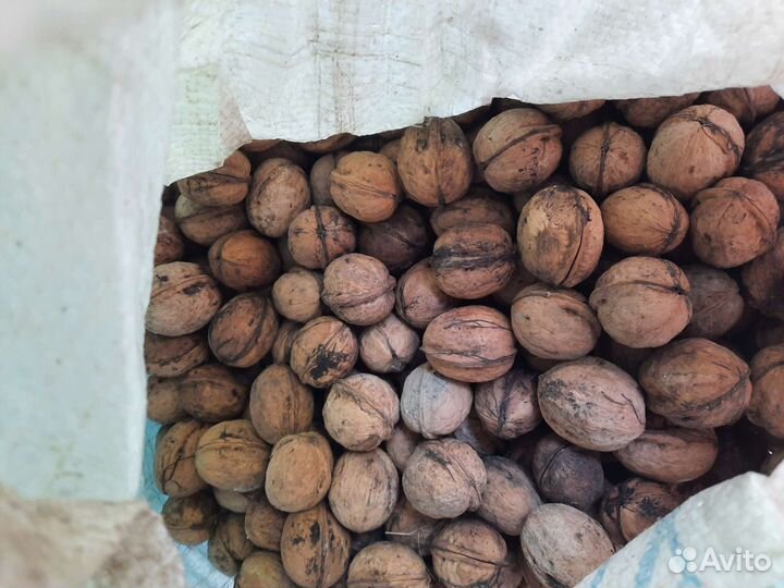 Грецкий орех