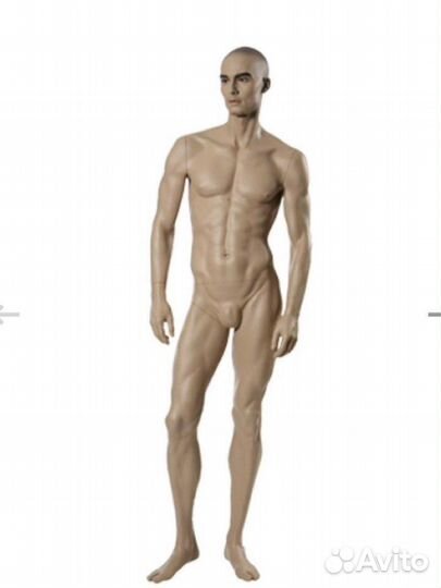Мужской реалистичный манекен \ Platinum-03