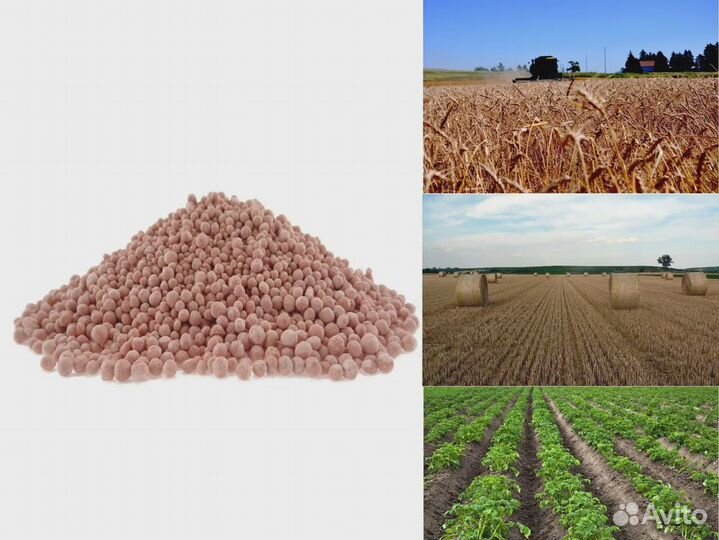 Удобрение нитроаммофоска оптом от 100кг