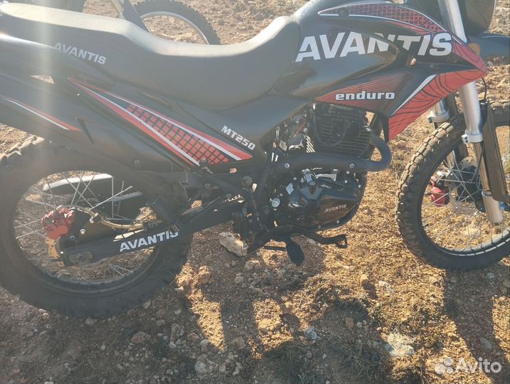 Avantis MT250