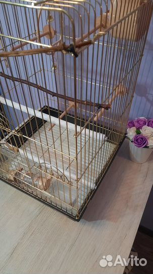 Клетка для попугаев
