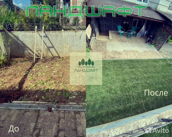 Высший сорт рулонного газона Чехов